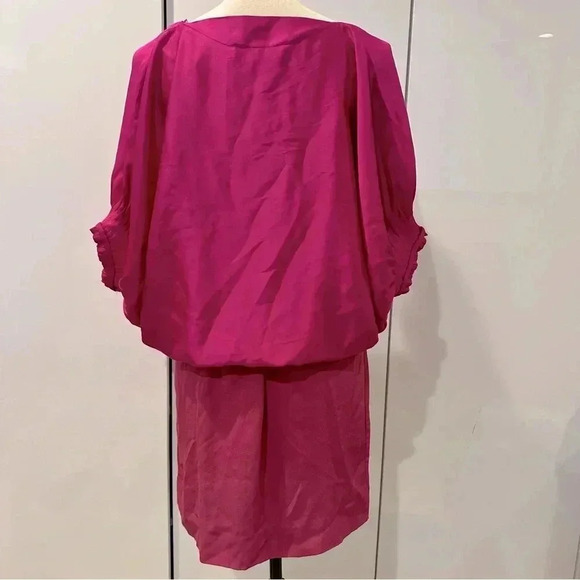 Diane von Furstenberg NWT Edna Pink Puff Sleeve Tie Waist Silk Dress Size 2 - Picture 14 of 16